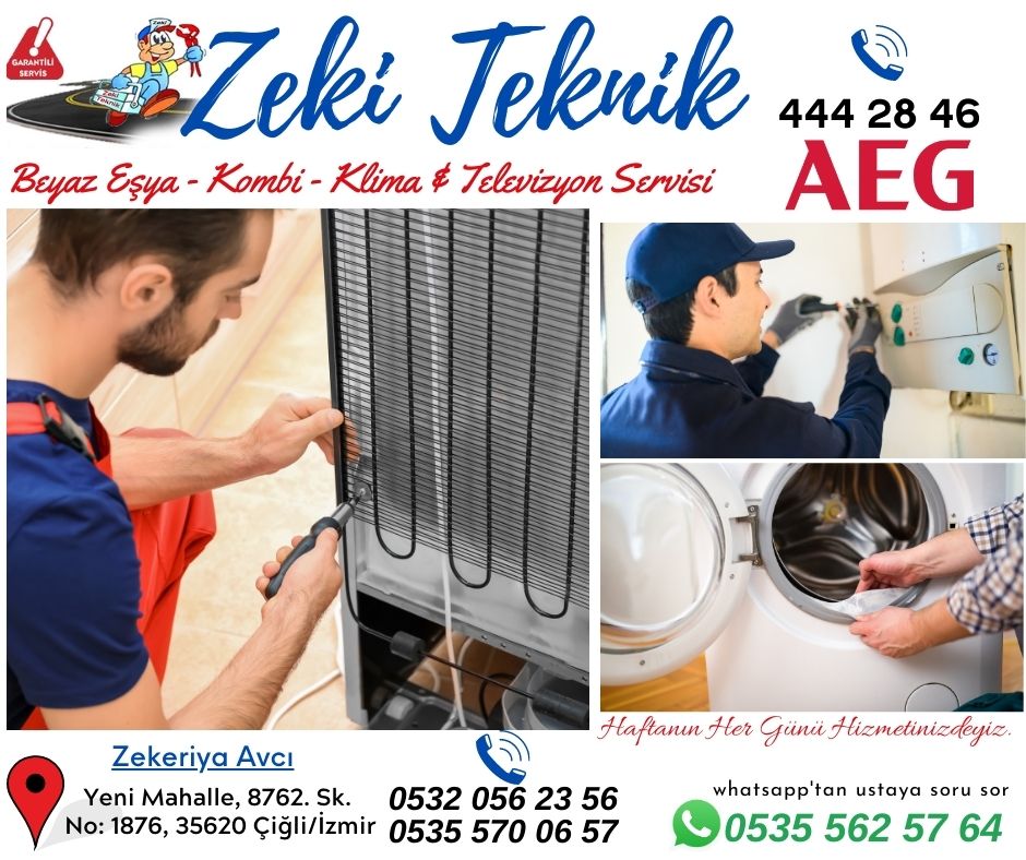 Çiğli AEG Servisi